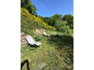 privater kleiner Garten