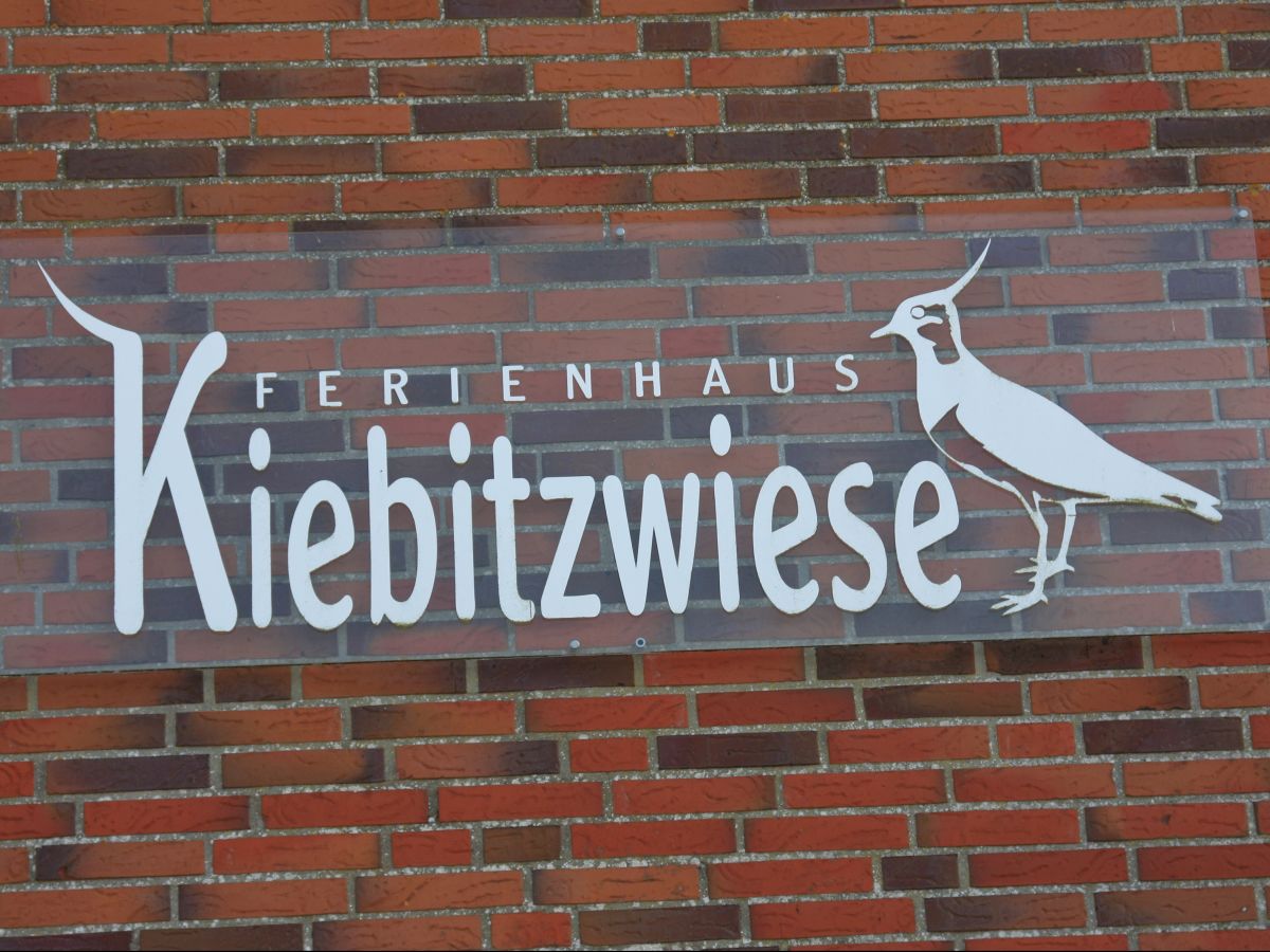 Ferienwohnung Kiebitzwiese Borkum Firma Haus Und Grund Celle