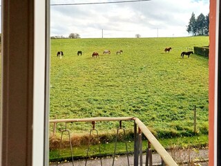 Blick aus Schlafzimmer 2 (1. OG)