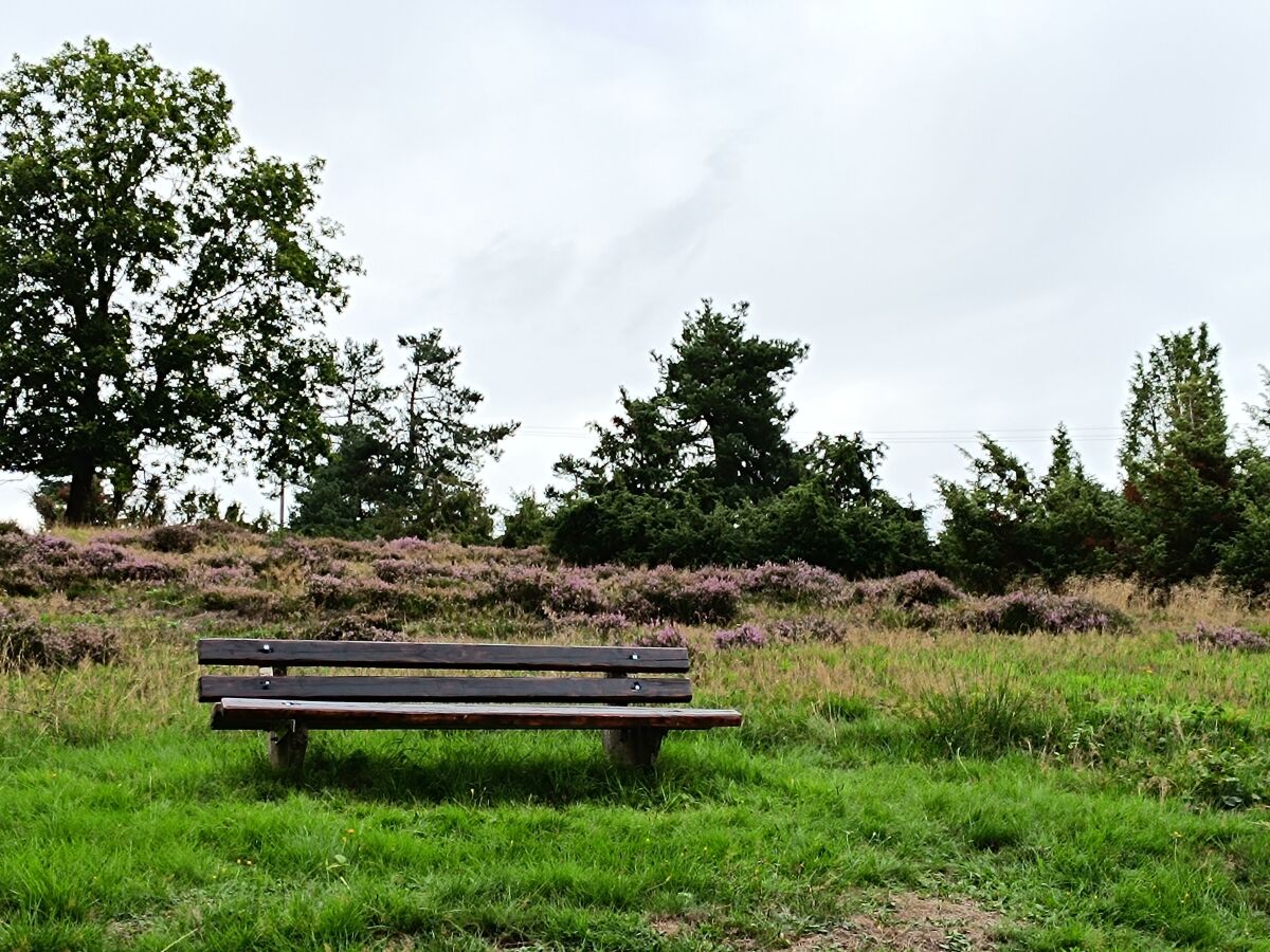 Umgebung im Sommer