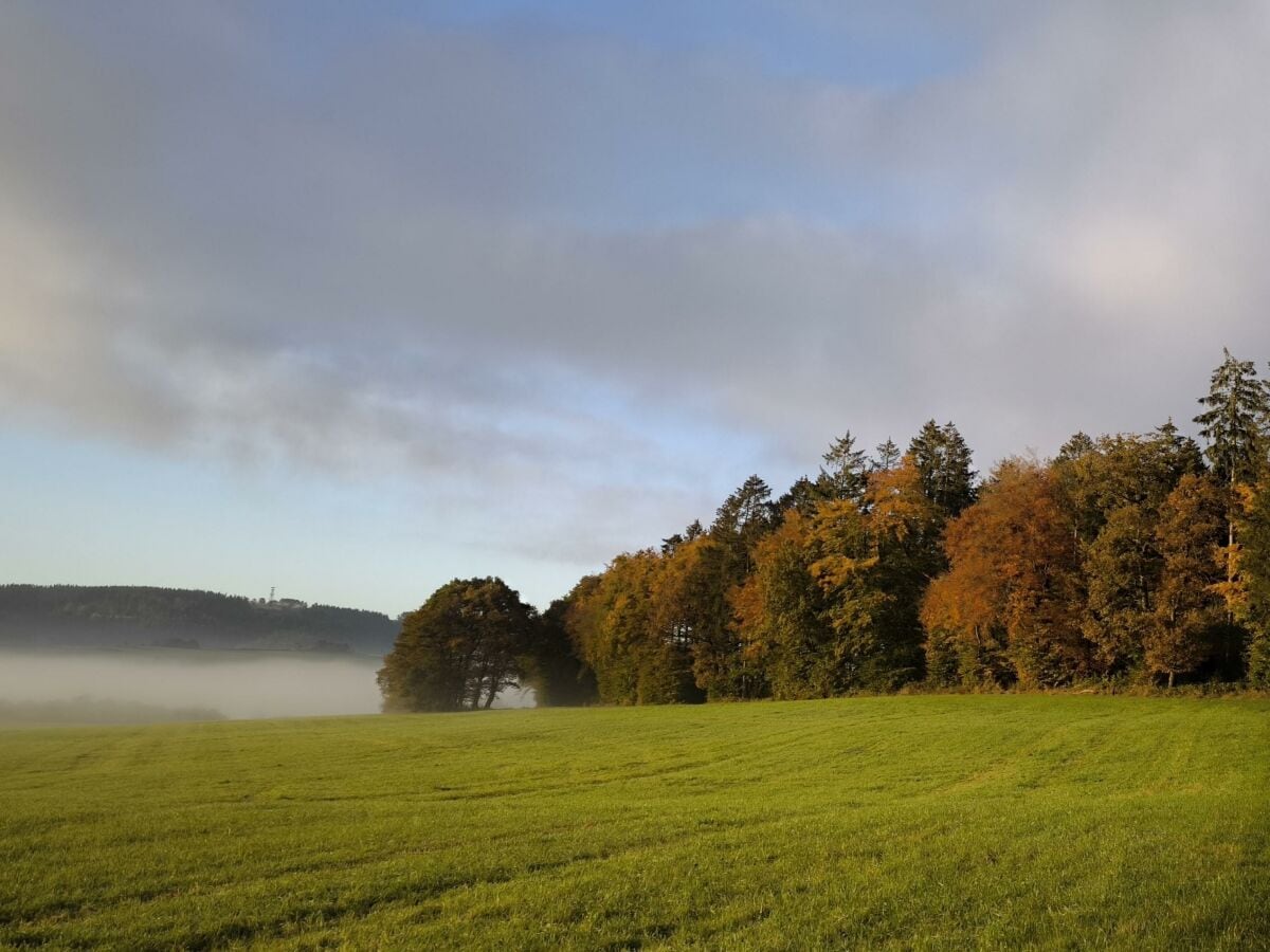 Umgebung im Herbst