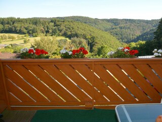 Ausblick vom Balkon