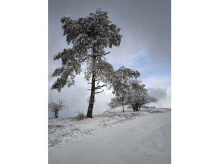 Umgebung im Winter