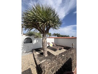 2. Terrasse