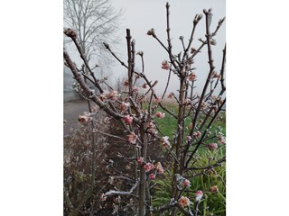 Appartamento per vacanze Marpingen Ambiente 16