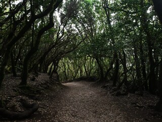 Appartamento per vacanze Marpingen Ambiente 18