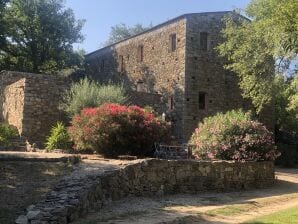 Moulin de Campiolo