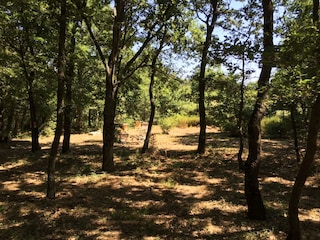 Wald gehört zum gezäuntem Grundstück