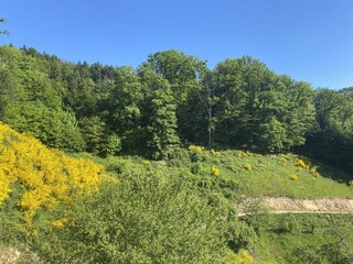 Vakantieappartement Saint Marie Aux Mines Buitenaudio-opname 7