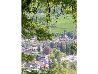 Sicht auf Sainte-Marie-Aux-Mines