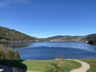 See von Gerardmer