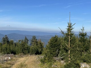 Aussicht vom Brezouard
