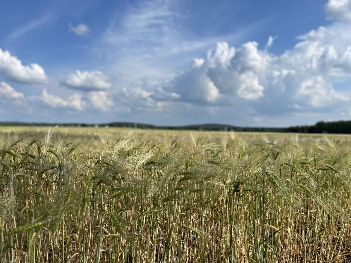 unsere schöne Umgebung