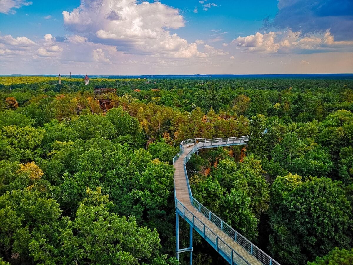 Baumkronenpfad Beelitz Heilstätten