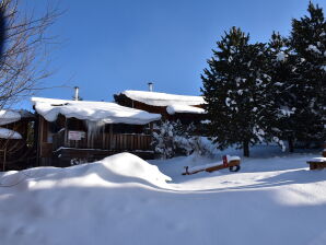 Ferienhaus Tauern Hütt'n - Alpenzauber - Hohentauern - image1