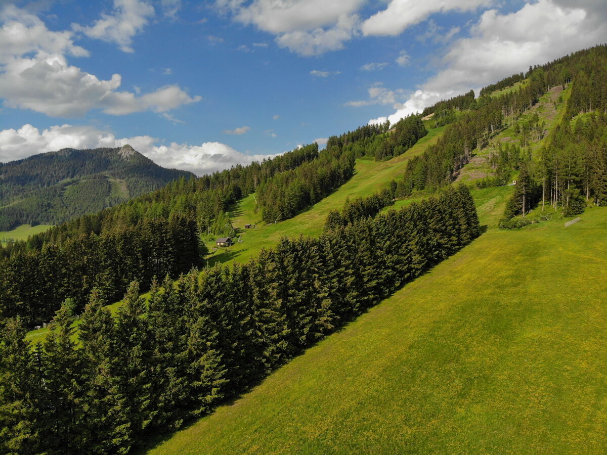 die Skipiste im Sommer