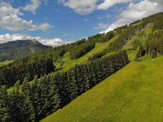 die Skipiste im Sommer