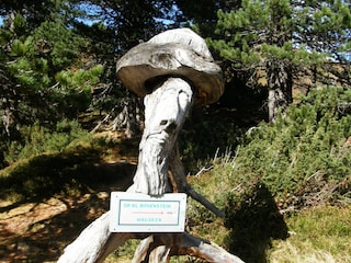 Wegweiser am Scheibelsee