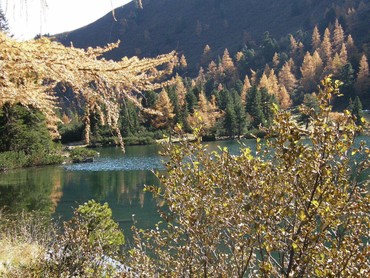 Der große Scheibelsee