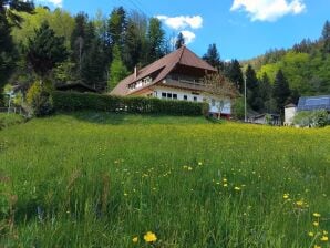 Ferienwohnung Wolftalliebe - Bad Rippoldsau - image1