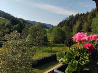 Aussicht vom Balkon ins Wolftal