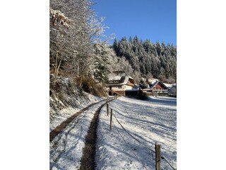 Ferienwohnung Bad Rippoldsau Außenaufnahme 8
