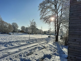 Gruenheide-buchen-Ferienwohnung-Hangelsberg-Straße-N