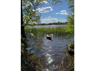 Casa de vacaciones Neu Poserin Grabación al aire libre 15