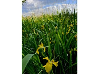 Casa per le vacanze Neu Poserin Ambiente 34