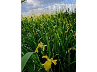 Ferienhaus Neu Poserin Umgebung 34