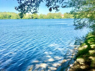 Natural swimming spots Muggesfelder lake