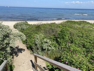 Holiday house Dranske Environment 32