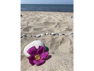 Casa per le vacanze Dranske Ambiente 34