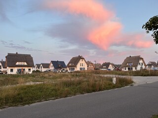 Vakantiehuis Dranske Omgeving 37