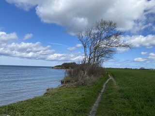 Vakantiehuis Dranske Omgeving 38