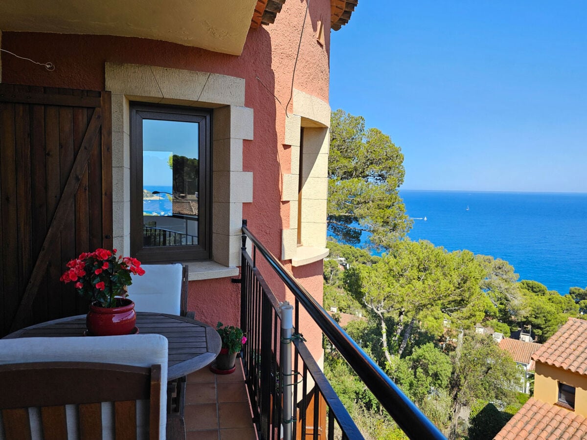 Terrace with seaview