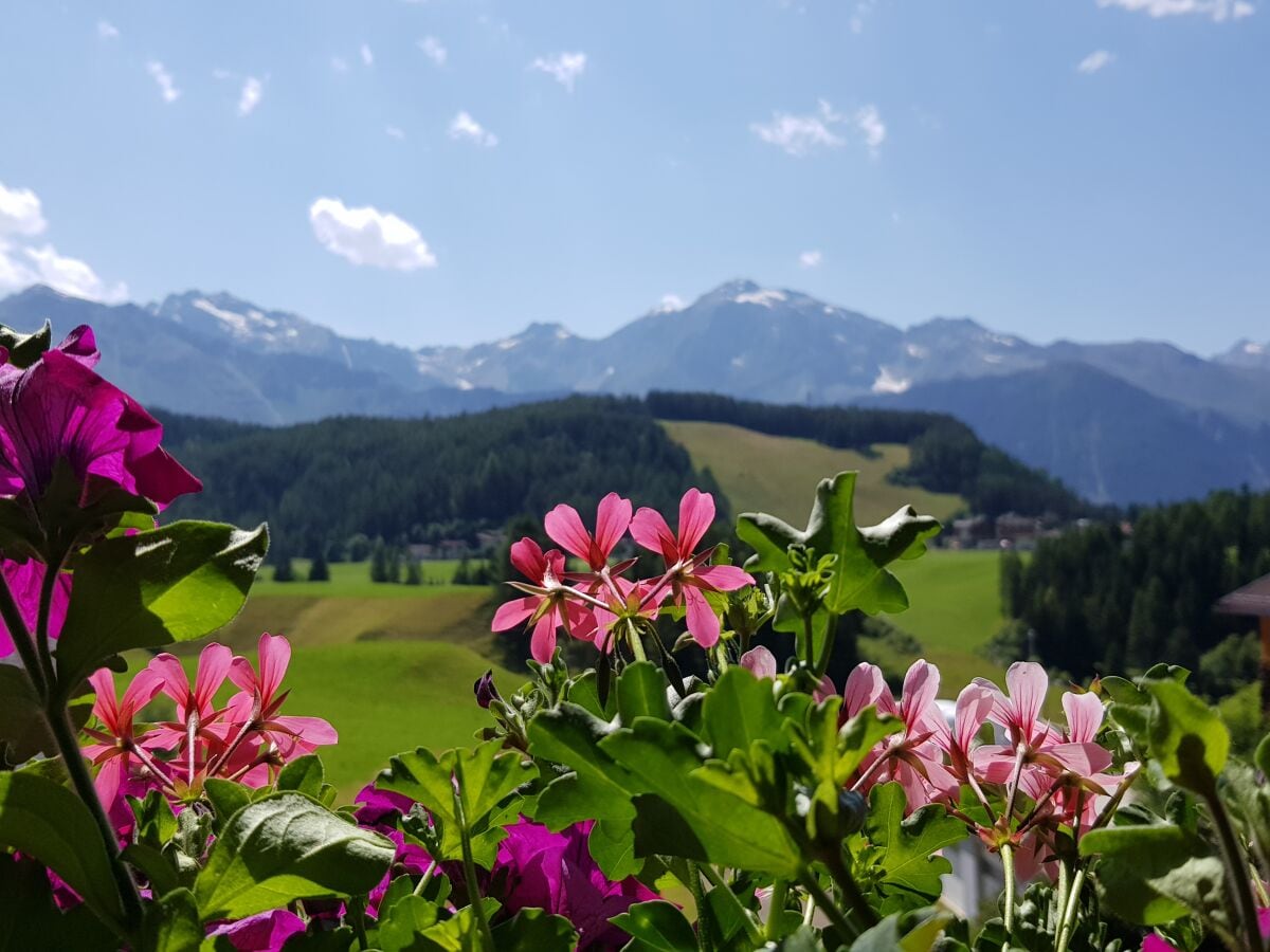 Aussicht Appartement Edelweiss