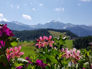 Aussicht Appartement Edelweiss