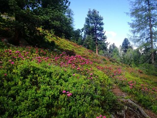 Appartamento Umhausen Ambiente 19