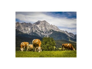 Holiday apartment Maria Alm Outdoor Recording 3