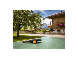 Holiday apartment Maria Alm Environment 11