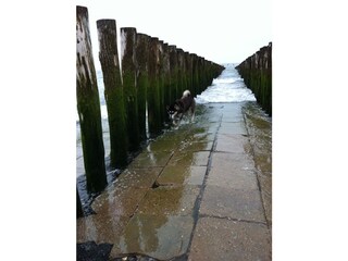 Chambre d'hôtes Biggekerke Environnement 27