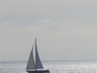 Boat on the Westerschelde