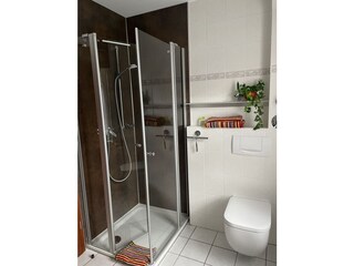 Badezimmer: Dusche, WC