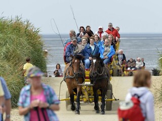 Ferienwohnung Cuxhaven Außenaufnahme 2