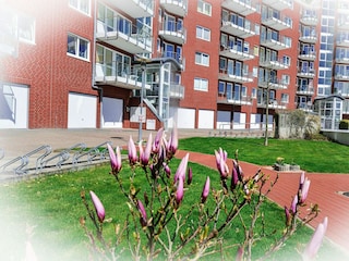 Ferienwohnung Cuxhaven Außenaufnahme 13