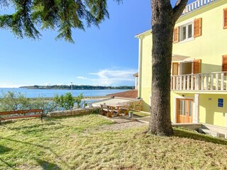 Apartment Novigrad (Istrien) Außenaufnahme 3