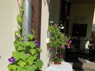 Holiday apartment Leipzig-Nord Outdoor Recording 2