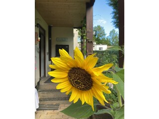 Holiday apartment Leipzig-Nord Outdoor Recording 7