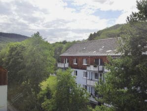 Ferienwohnung Zauberberg, Schneehase, Glitzerhirsch - Oberwiesenthal - image1